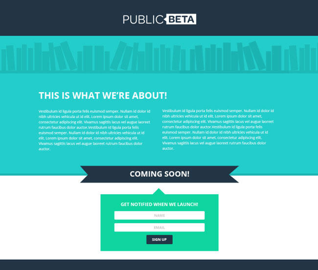 1 Publicbeta