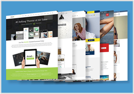 Premium WordPress Themes