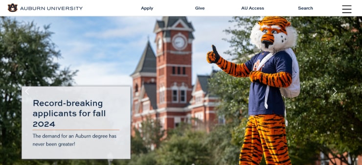 Auburn University Website Design