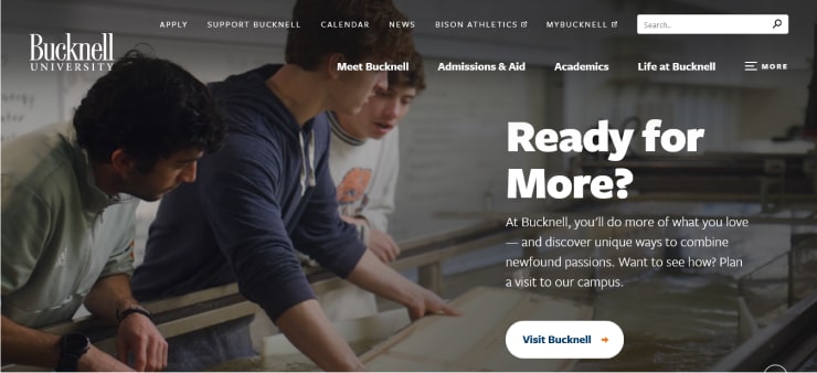 Bucknell University Website Design