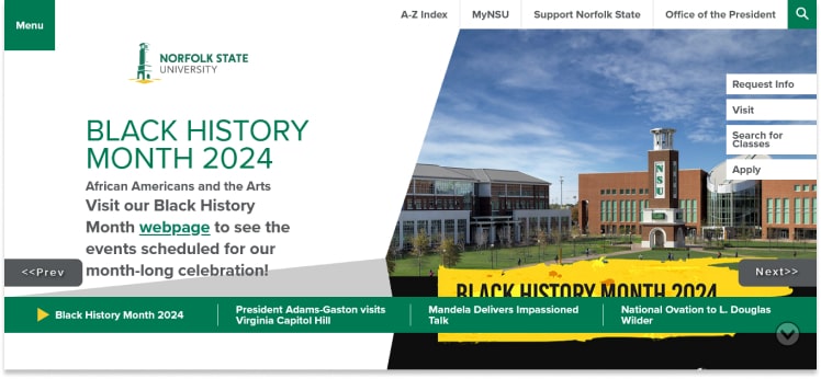 Norfolk State University Website Design