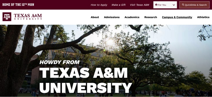 Texas A&M University Website Design