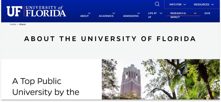 University Of Florida Website Design