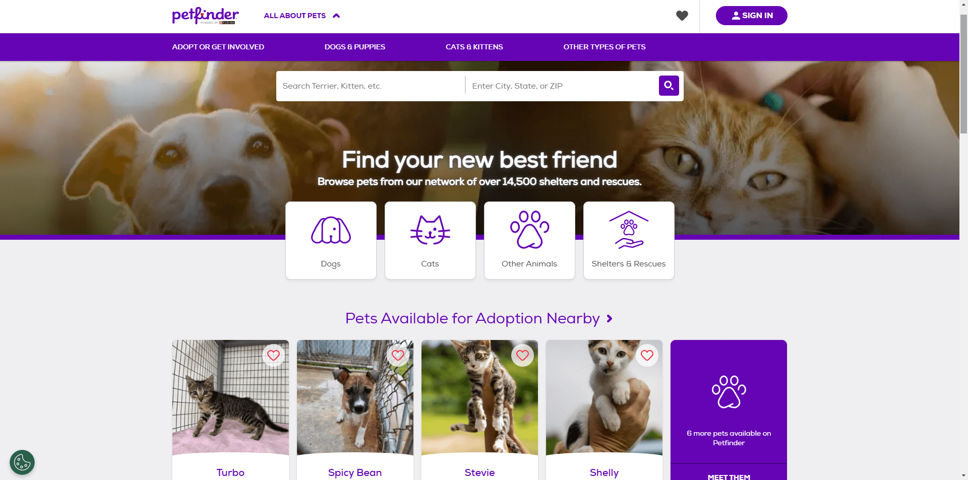 petfinder