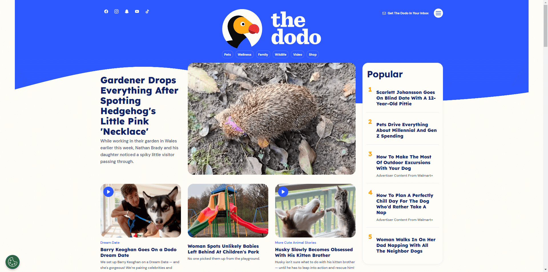 thedodo