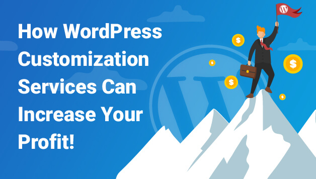 WordPress Customization Services Image