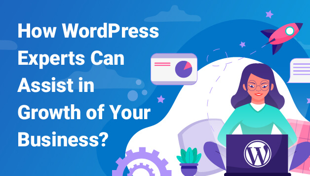 WordPress Experts Can Assist Image