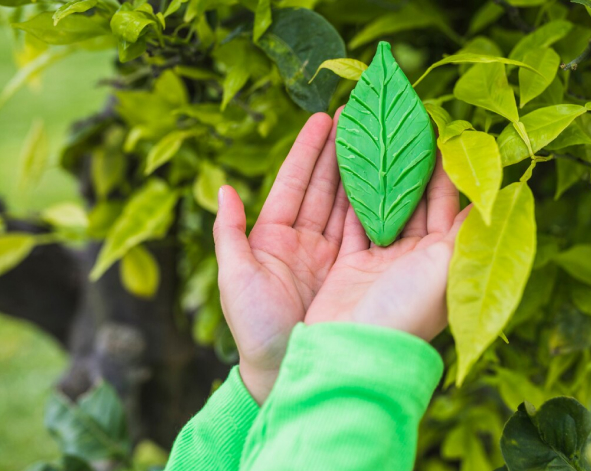 Greenleaf Marketing Case Study Image